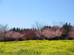 伊勢崎の旅行記