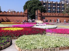 のんびり8泊  が  2泊4日の 弾丸ツアーに 1