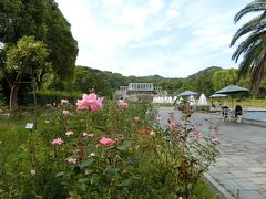 須磨離宮公園バラ、六甲カンツリーハウス