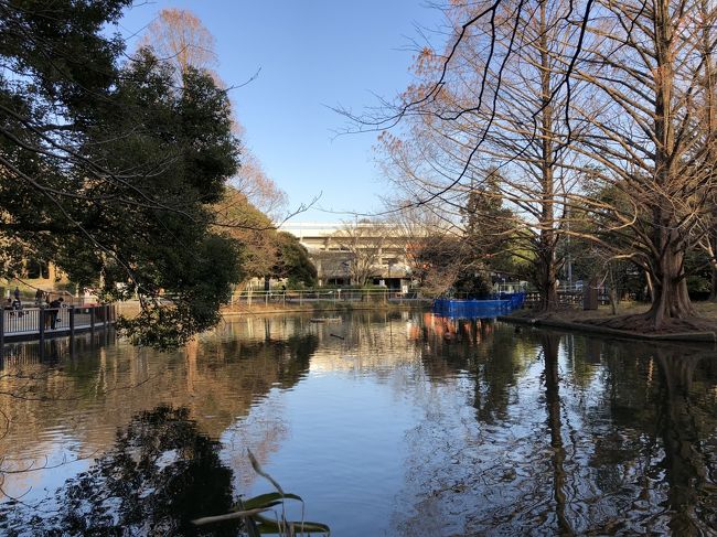 ３月に入ったので、春を探しに大宮公園へ。<br />よく見ると、小さな芽が出始めているものの、まだまだ膨らんできたとは言いがたい桜の木。<br />でも遠くから見ると、樹木の枝葉が全体として白っぽく見えている。春が近いことを実感します。<br /><br />