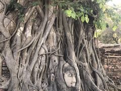 2度目のタイ旅行だ象～  その2