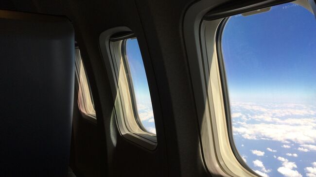今回は富士山静岡空港(FSZ)のラウンジ情報【追記】と、ANA那覇便の窓から見える景色を紹介します。<br />フライト予約時に悩むのがシート選び。<br />操縦席に向かって左側のA席側にしようか、それとも右側のK席側にしようかと悩むことはありませんか？<br />旅慣れたビジネスマンが選ぶのは比較的通路側が多いように感じますが、窓からの景色を楽しみたい私はいつも窓側席。<br />上空から見る街並みにワクワクしたり、美しい海やオレンジ色に染まる空・真っ青に感動することもあります。<br />この旅行記で紹介するのは、静岡空港出発の那覇便。<br />どのようなルートで飛行するのか、また窓からの眺めなどを紹介しますので、良かったら参考にしてください。