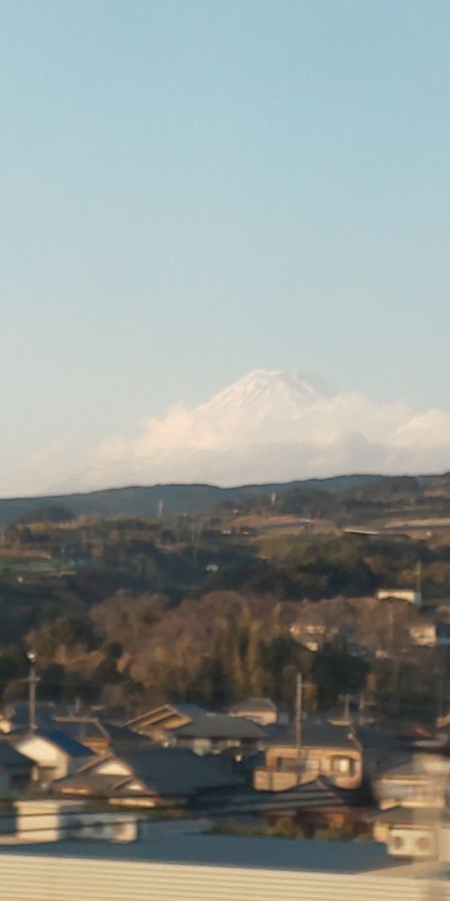 旦那様の バースデー旅行も 今日で終わりです<br />御朱印を頂きに <br />明治神宮<br />↓<br />泉岳寺<br />↓<br />増上寺  と巡ります