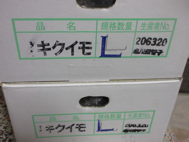 注文を出しておいた菊芋を買い受けに行きました<br /><br />担当さんはアミーゴ&愛弟子君なので<br /><br />会社の中も我が物顔で歩く・・(難儀な客やな)<br /><br />朝10時に家を出たのに、阪神高速とハーバーハイウェイが大渋滞で<br /><br />着いたら正午過ぎやった・・<br /><br />