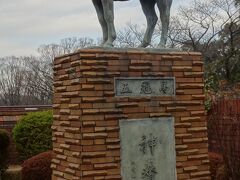 馬の博物館