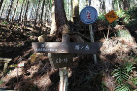 【塔ノ岳】芸術女子は更に山を登る