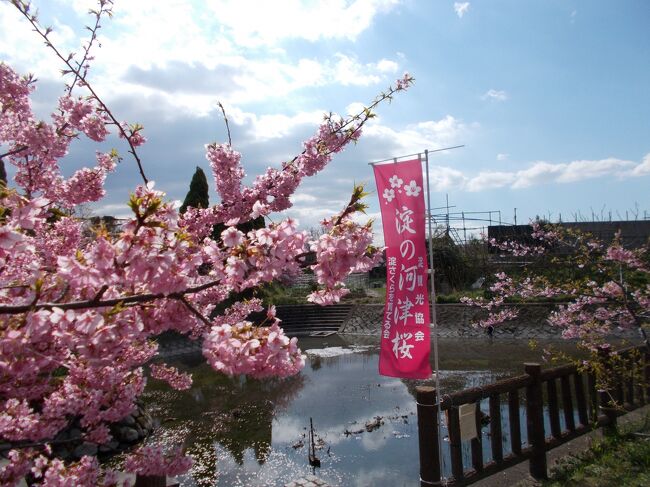 穂谷川の河津桜からのハシゴ花見です<br />こちらはかなり知られてたみたいで中々の人出でした<br />開花もピークみたいで堪能させてもらいました<br /><br />それでわ　(^^)/