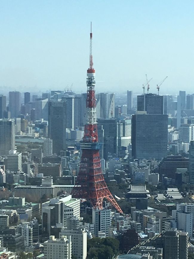 今日は、家の外構工事が終わったのでその支払のために、銀行に行かなければ成らずお休みを頂きました。折角のお休みなので、4時に起きだして、庭の煉瓦敷きの目止めをして、銀行に支払に行きました。その後、妻が懸賞でヒルズ展望台の招待券を貰ったので久しぶりに六本木に行って来ました。知人の紹介で、Nikeのファミリーセールに行かせてもらえる事になったので、こちらにも行って来ました。着々と5月の旅行の準備進行中です。