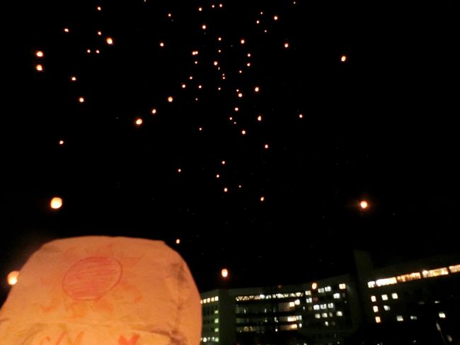夫婦揃って旅行が趣味のmeryです。<br />2019年3月にバスツアーを利用して「つなん雪まつり」に行ってきました!<br />ディズニー映画「塔の上のラプンツェル」が大好きな私(妻)。「いつか空に輝くスカイランタンを見てみたい」と思っていましたが、こんなに早く、その夢が実現するとは!!実際に見るスカイランタンは本当に美しく、感動的でした。撮影技術が未熟な私たちの旅行記ですが、どうぞあたたかい目でご覧ください。(笑)<br /><br /><br />・・・スケジュール・・・<br /><br />Day1 3月9日(土) <br /> つなん雪まつり ※北竜温泉 北竜館泊<br /><br />Day2 3月10日(日)<br /> 地獄谷野猿公苑<br />