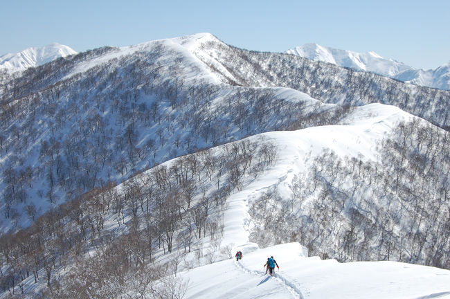 かぐらみつまたの向かいにあるのが日白山。積雪期でないと藪に覆われ入山できない冬季限定の雪山です。<br /><br />今週はテント泊で訪れる予定でしたが日曜が予報が悪く前々日に日帰りに切り替えました。快晴で絶好のコンディションの中、雪山始めたばかりの仲間には大満足の山行になったと思います。<br /><br />山頂から見る谷川の峰々の絶景。八ヶ岳では見ることができない大きな雪庇、雪山に来たという実感が非常に強い上越の隠れた名峰です。<br /><br />■コースタイム：8時間（休憩たっぷり1時間20分）<br />二居駐車場6:40～7:45二居峠～9:50東谷山10:05～11:25日白山11:50～12:30二居俣ノ頭13:00～14:40二居駐車場