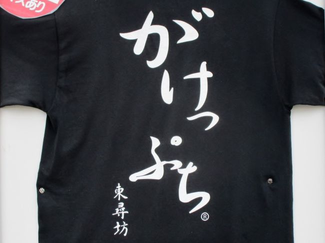 【2019年福井】１ヶ月遅れのバースデイトリップ　福井県のおいしい所をつまみ食い1/2　丸岡城・東尋坊編