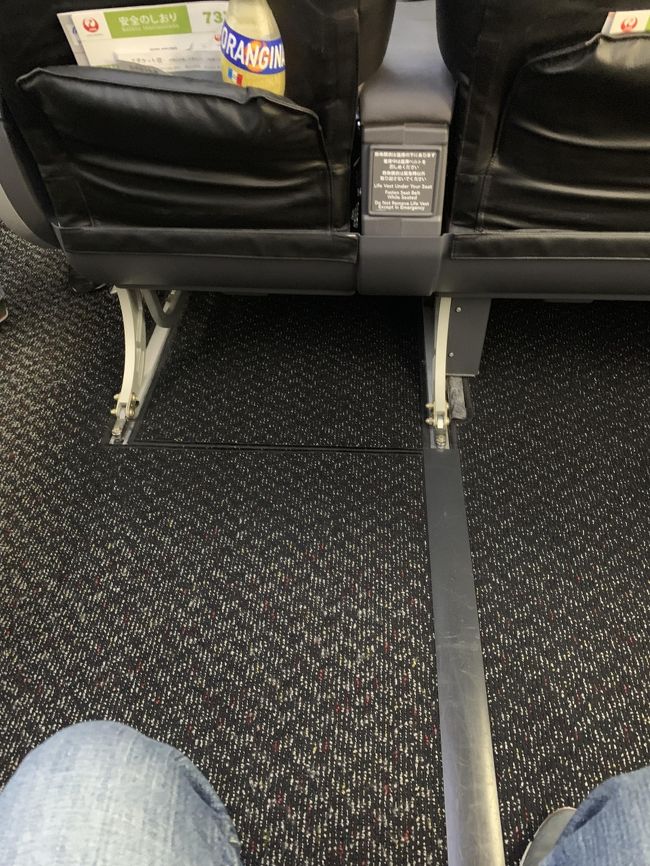 今回は那覇トランジットで石垣島へ渡りました。<br />美奈さん飛行機の座席は事前予約しますか?<br />那覇から石垣島へはJATでボーイング737が飛んでいてもちろんゆっくり行きたければクラスJを選択すると思います。<br />今回はエコノミーの7Dを予約しましたが写真のような足元にスペースがあります。<br />座席の幅は狭い(普通)ですが足元が広いので快適なフライトができます。