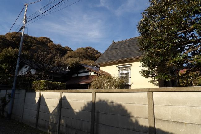 鎌倉文学館前から小路を通って来ると、吉屋信子記念館の手前に和洋折衷の民家が見える。これまでは塀や木立に隠れて中々その建物を確認できなかったのだが、今日は木の芽が芽吹く前なので幾らかはその様子を伺い知ることができる。<br /> 前に二階建ての洋館、その後ろに平屋建ての和風日本家屋というL字形の和洋折衷の家屋だ。典型的な和洋折衷の民家である。こうした和洋折衷の家屋を建てたのは大正時代から昭和初期の頃であろうか。鎌倉では関東大震災(大正12年(1923年))があったから、現存している民家の大部分は関東大震災後に建てられたものである。ただし、洋館部分を地盤の固い場所に選りすぐりの部材で、しっかりとした構造・施工で建てたならば築の浅い建物は関東大震災でも大丈夫であった。和館部分は平屋で腕の良い宮大工か大工が建てたものは関東大震災でも無事だった場合も見受けられる。建坪がある和風建築の母屋は古く見え、関東大震災前に建てられた可能性子もあろうか?洋館部分はその後の増築である可能性が高い。それならば関東大震災後であることは間違いないだろう。<br /> それにしても広い家屋敷だ。建設当時はお金を掛けてしっかりとした和洋折衷の家屋を建てたことが想像される。それで今でも健在なのだろう。<br /> (表紙写真は和洋折衷の民家)