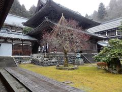 おとなびパス　あわら温泉・東尋坊・永平寺