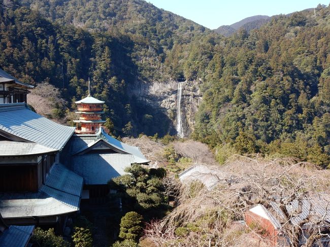 寒さも和らぎ冬のおとなびパスも終わり間際、いつものIさんご夫婦とおとなび旅行を楽しみました。今回はJR西日本南端の紀勢本線紀伊勝浦へ、目的は洞窟温泉のホテル浦島。時間が少し早かったのでレンタカーで熊野那智大社、那智の滝参拝しました。那智大社では八咫烏がお出迎え、サッカー日本代表に関するユニフォームなどもありました。勝浦港へ帰りホテルお迎えの亀の船でホテルのフロントへ、ここから非日常が始まりました。早速の洞窟温泉玄武洞へ、ここでは少し飛沫を浴びながら硫黄香する温泉に浸かりました。その後夕食バイキング！この日は30kgオーバーのキハダマグロの解体ショーがありました。満腹のお腹を減らすためメインの忘帰洞へ、濁った良いお湯に浸かり、波の音を聴きました。洞窟のため音響効果が良すぎでうるさいくらいでした。翌朝日之出を見ようと行きましたが、残念ながら雨のためNG。朝食後また船で勝浦港へ送ってもらいました。