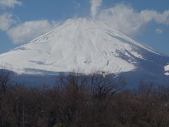 バスタ新宿から名古屋まで高速バスに乗りました。富士山がきれいに見えました。