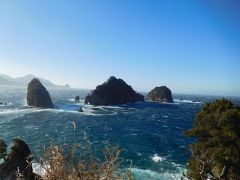 路線バスで行く伊豆半島ぐるり旅（3日目　堂ヶ島から修善寺へ）