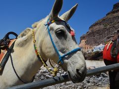 念願のギリシャ！ハネムーン6泊9日　ー 6日目・サントリーニ島フィラ　アテネー