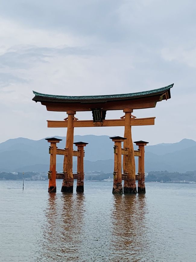 1月に広島＆宮島を弾丸で巡る旅番組を観てたら行きたくなっちゃった。<br />お友達に話したら即意気投合～！大好きな牡蠣食べたい！２月で生牡蠣シーズンは終わりだというので急がなくちゃ。宮島でアナゴ飯も食べたいし、広島のお好み焼きも食べたいよね～。あの芸人さんが泣いて食べたがったお店ね。ということで、広島B級グルメ食べ歩きに1泊2日で行ってきました。<br />往復  新幹線<br />ホテル  リーガロイヤルホテル広島<br />1日目  <br />12：00 広島駅<br />13：00 宮島口駅<br />13：15 JR西日本フェリー<br />14：30 厳島神社<br />17：00 瀬戸内シーラインで広島港へ<br />18：40 ホテルチェックイン<br />19：30 広島城「光の祭」<br />20：40 お好み焼き<br />23：10 ホテル<br />2日目<br />8：30 原爆ドーム 平和記念公園 広島平和記念資料館見学<br />10：00 広島アンデルセン<br />11：00 ひろしま美術館<br />13：00 広島駅<br />お天気に恵まれて１泊でも十分楽しめた広島＆宮島旅 <br />また来年も行きたいな～