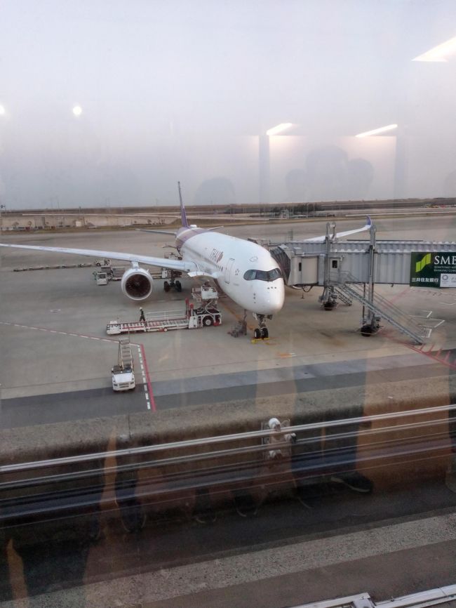 タイ国際航空を利用しました。エコノミークラス利用でしたが快適でした。
