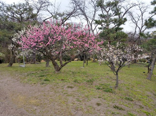 万博公園無料開放デーで利用しました。