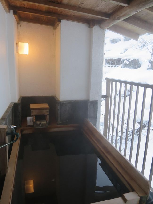今年度最後の「大人の休日倶楽部パス」を使って、1泊2日で新潟へ雪を見に行きました。<br />1日目は、十日町で現代美術や国宝の火焔型土器を観て<br />日本三大薬湯のひとつである松之山温泉であったまりました。