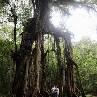 中年夫婦が行く癒しのバリ島2019_前編