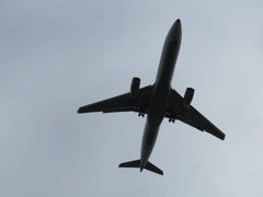 横浜港から船で羽田空港へ