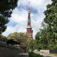 東京の街と神社と、ついでディズニー01