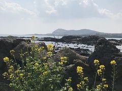 美しの島、春のチェジュ島　――　海と美味しいものいろいろ――１日目