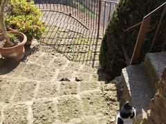 オルヴィエートの旅行記