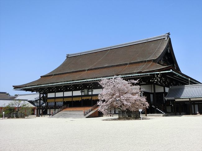 京都（’18 花見)