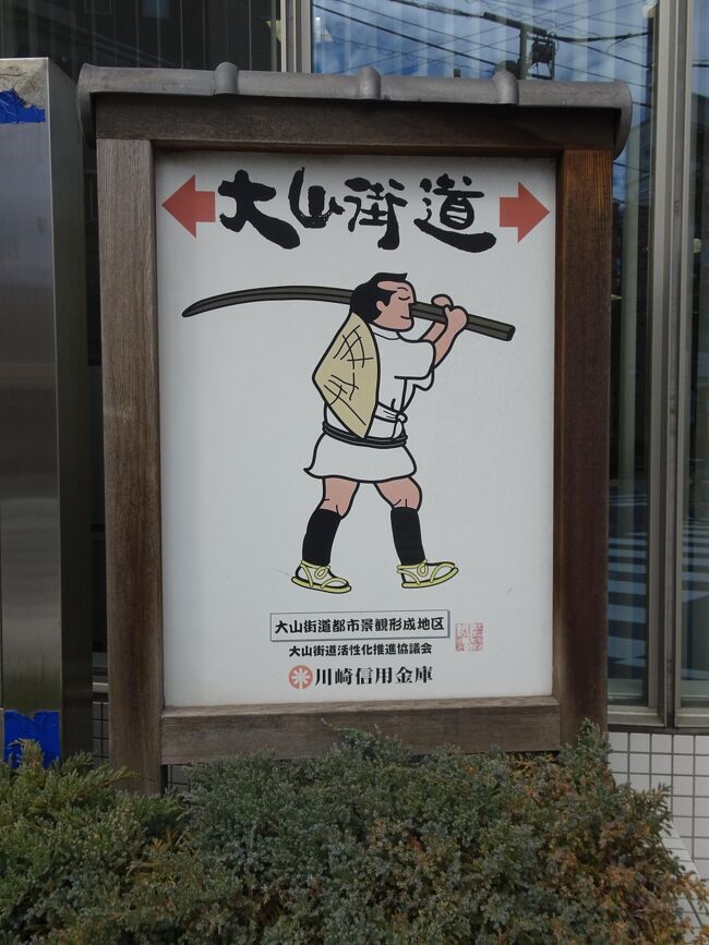 大山街道 溝の口 武蔵小杉 神奈川県 の旅行記 ブログ By アルプ グリュムさん フォートラベル