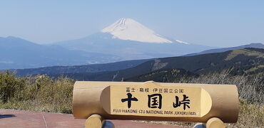 富士山を見に行こう③十国が見渡せる十国峠、そして芦ノ湖へ