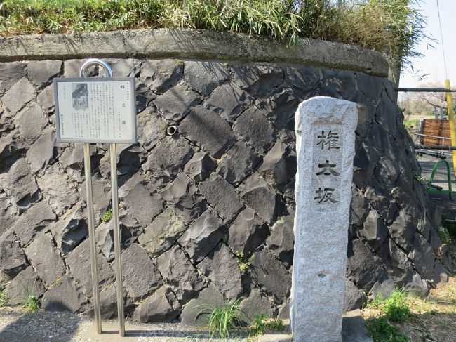 駅からハイキング　横浜旧東海道　最初の難所 権太坂を往く　保土ヶ谷～東戸塚　2019年3月1日～3月24日　<br /><br />スタート　保土ヶ谷駅ビーンズ保土ヶ谷<br />1.保土ヶ谷駅西口商店街<br />2.金沢横町の石碑<br />3.軽部本陣跡<br />4.旅籠屋（本金子屋）跡<br />5.松並木プロムナード<br />6.旧東海道権太坂<br />7.武相国境モニュメント<br />8.焼餅坂<br />ゴール　東戸塚駅<br /><br />歩行距離：約5.5ｋｍ<br />歩行時間：約3時間<br /><br />説明コメントは、保土ヶ谷区役所、戸塚区役所発行の散策マップより記載しました。