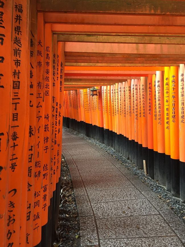 本日、京都滞在２日目。<br />昨日は、相棒の相性の良い土地に行きました。二条城、八坂神社。<br />本日は、私の相性の良い土地、伏見稲荷神社へ。<br />１日目歩きぱなしだったので、お疲れですが、また歩く(^^)