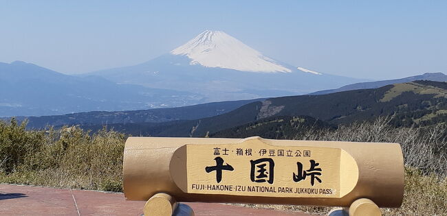 富士山を見に行こう③十国が見渡せる十国峠、そして芦ノ湖へ