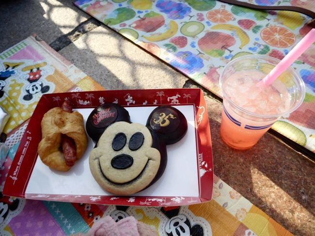 東京ディズニーリゾート35周年Happiest Celebration! グランドフィナーレも残すところあと6日。<br /><br />25日の最終日にもインパ予定ですが、2月末にインパして以来ごぶさただったので禁断症状が出てしまいましたε-(´∀`; )<br /><br />お天気やら、体調やら、グッズ発売日やら、色々考えていたらギリギリになってしまい、前日の23時過ぎから予約を開始(遅すぎっ!)。<br /><br />プチJGC修行中なので往復ともにJALがいいのですが、復路の便が満席で新幹線で帰ることも視野に入れて出発しました。<br /><br />何度もJALのHPをのぞいて、羽田からのリムジンバス車内でようやく復路便を抑えることが出来ました(*゚▽゚ノノ゙☆パチパチ<br /><br /><br />さて、今回の目的は…<br /><br />★ドリーミング・アップ!のグランドフィナーレバージョンでチップ&デールがわちゃわちゃするのを見る<br />★ミッキーパンを食べる<br />★グランマ・サラのグランドフィナーレスペシャルセットを食べる<br />★ハピエストセレブレーション・オン・ザ・シーでミッキーが喋るのを確認<br />★トゥモローランドの工事用防護壁に描かれたイラストを見る<br />★ディズニーリゾートラインのフリーきっぷで『マイフリーきっぷフォト』を撮る<br /><br />と、まあまあ数が多い( ̄▽ ̄;)<br /><br />結果的には達成出来なかったものもありますが、かなり自分らしく楽しめた1日でしたヽ(´▽`)/<br /><br />それでは、ランド3回、シー2回の【年パス日記】スタートです!
