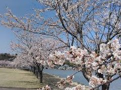 初めての星野リゾートに泊まる旅