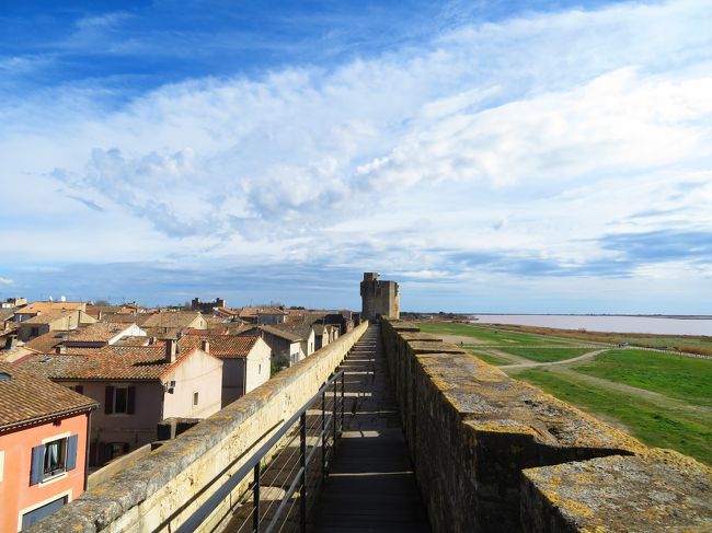 フラミンゴの大群が･･･エグモルツ(Aigues-Mortes)徘徊６ 2019年３月毎年行ってる南仏プロバンス＋モンペリエ＋ヴィルヌーヴ＝レザヴィニョン＋ボーケール ８泊１０日　1人旅(個人旅行)２３