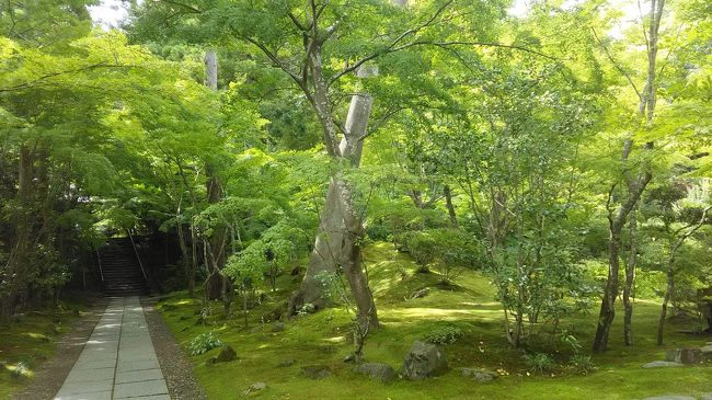 ちょっとだけ遠出して美味しいものを食べたくなったので、高速バスの往復料金に500円追加するだけで、お寿司天ぷら膳がつくチケットで仙台に行ってきました。<br />お寿司、天ぷら、地酒、地ワイン、バターレモンクリームパスタ、焼き牡蠣、ラズベリーローズソフトクリーム、牛タンを堪能し、お土産に笹かまぼこ、萩の月、伊達絵巻を買いました。