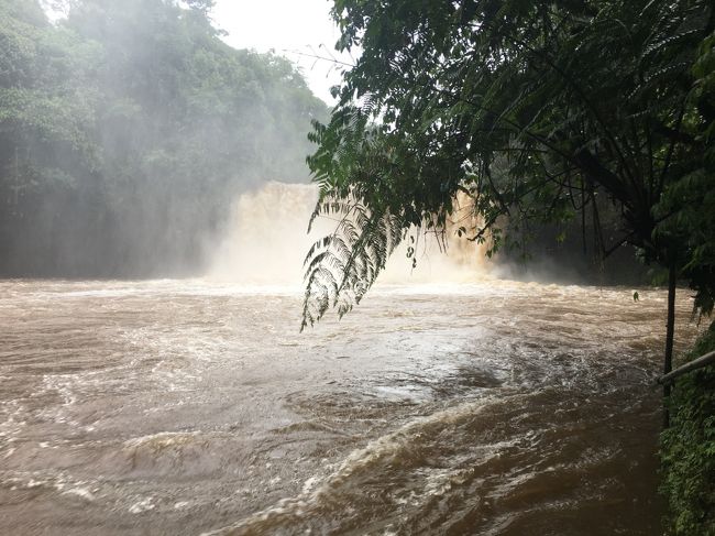 ボロベン高原は雨やまず、滝見学とコーヒー豆を求めて