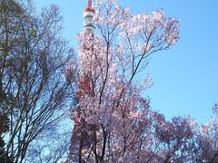 お彼岸なので家族でお出かけと少し早いお花見？