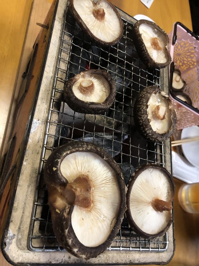 東栄町へしいたけ狩りへ<br /><br />自分で取ったしいたけを七輪で焼いて食べました。<br /><br />温泉に行き棚田も観れました。