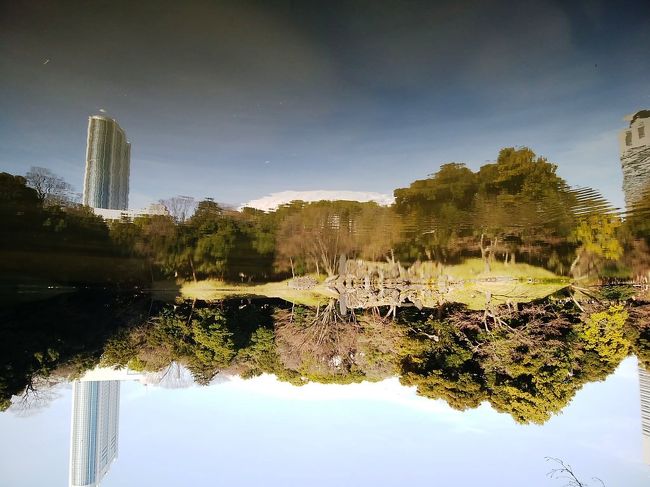 都立公園が無料にたまたまなった休日、行った事がなかった小石川後楽園に行ってきました。<br />これまで足を運んだことが無かったように、特に期待もしておらず<br />「一回見ておくか」<br />という気持ちで行ったのですが・・・<br />行ってみてビックリ！<br />ここは小水戸ではないですか！