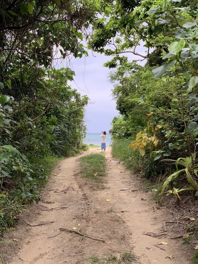 今年の夏に沖縄に行けなさそうだということで、夏前にちょこちょこと週末旅しています。<br /><br /><br />夏に石垣島に行けないのが悲しくて、予定になかったけど、いっしょにマイル割りが使えるということで3月の週末に無理やり石垣島旅を入れました。<br /><br />2泊という短い旅程で石垣島に行くのは初めて！<br /><br />いつもの宿と、まぐろひとしの予約も取れて一安心。<br />ずっとしてみたかった川平湾SUPもやってみよう。<br /><br />お天気だけが心配。。。<br /><br /><br />＊ANA福岡ー石垣島直行便  いっしょにマイル割り  往復合計31000円<br /><br />＊nico-stay  8500円×2名×2泊<br /><br />＊タイムズレンタカー  48時間  6200円<br />