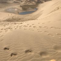 鳥取で砂丘とうさぎ