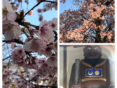 2019,3月　閻魔大王様と桜