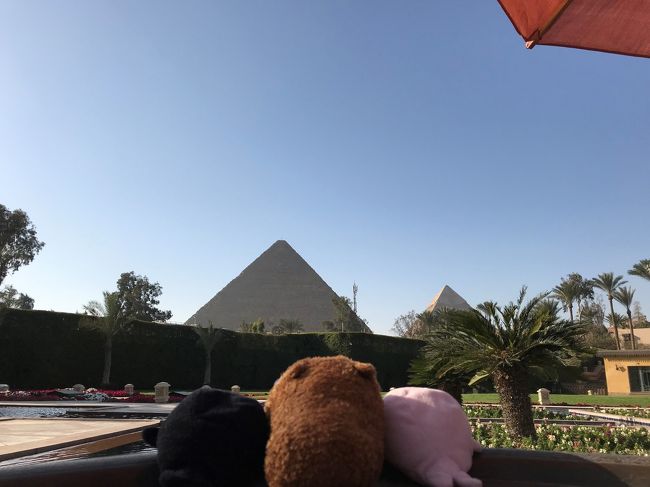 念願のエジプト旅行。しかも『ラムセスDAY』に訪れることができました。旅行前に皆さんの旅行記をたくさん参考にさせていただきましたので、恩返しのつもりでこれからエジプトを訪れる方の少しでもお役に立てればと思います。<br />神殿のお写真や解説などは皆さんの方が上手にされていますので、私は『ラムセスDAY』の雰囲気などお伝えできればと思います。<br /><br />利用ツアー:JTB<br />利用航空会社:成田ードバイ、ドバイーカイロ:エミレーツ航空<br /> エジプト国内:エジプト航空<br />ホテル:コンラッドカイロ、セティアブシンベル、マリオットメナハウスカイロ<br />クルーズ船:ソネスタ・スターゴッデス号<br />