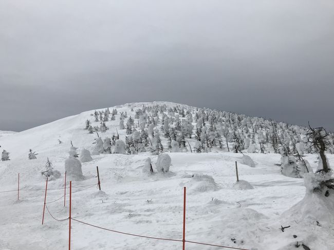 2019年3月、蔵王で春スキーは午後からの雨で消化不良気味